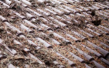 Holyfield roof cleaning companies